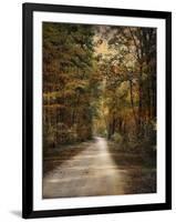 Autumn Forest 3-Jai Johnson-Framed Photographic Print