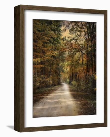 Autumn Forest 3-Jai Johnson-Framed Photographic Print