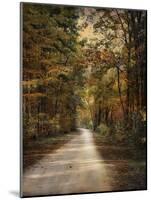 Autumn Forest 3-Jai Johnson-Mounted Photographic Print