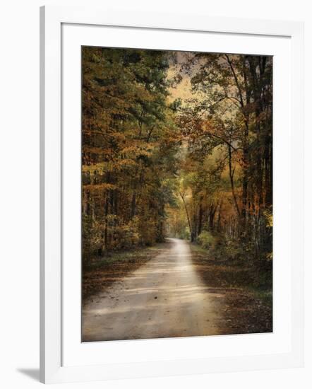 Autumn Forest 3-Jai Johnson-Framed Photographic Print