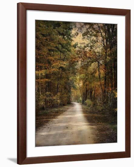 Autumn Forest 3-Jai Johnson-Framed Photographic Print