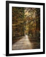 Autumn Forest 3-Jai Johnson-Framed Photographic Print