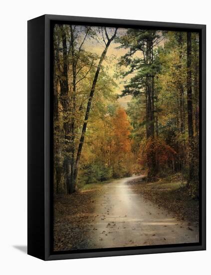 Autumn Forest 4-Jai Johnson-Framed Stretched Canvas