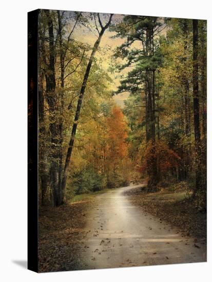 Autumn Forest 4-Jai Johnson-Stretched Canvas