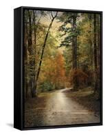 Autumn Forest 4-Jai Johnson-Framed Stretched Canvas