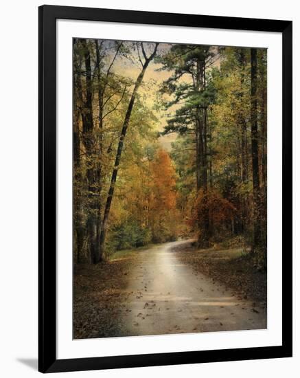 Autumn Forest 4-Jai Johnson-Framed Photographic Print