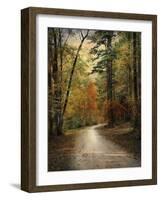 Autumn Forest 4-Jai Johnson-Framed Photographic Print
