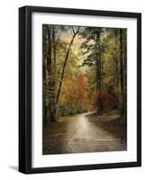 Autumn Forest 4-Jai Johnson-Framed Photographic Print