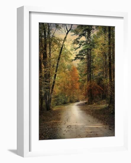 Autumn Forest 4-Jai Johnson-Framed Photographic Print