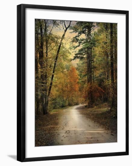 Autumn Forest 4-Jai Johnson-Framed Photographic Print