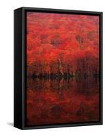 Autumn Forest and Lake-null-Framed Stretched Canvas
