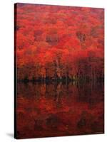 Autumn Forest and Lake-null-Stretched Canvas