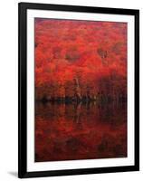 Autumn Forest and Lake-null-Framed Photographic Print