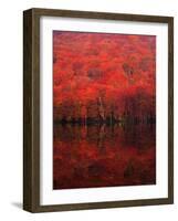 Autumn Forest and Lake-null-Framed Photographic Print