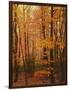 Autumn forest, Blue Ridge Parkway, Virginia, USA-Charles Gurche-Framed Photographic Print