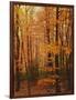 Autumn forest, Blue Ridge Parkway, Virginia, USA-Charles Gurche-Framed Photographic Print