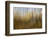 Autumn Forest Dream-Bill Sherrell-Framed Photographic Print