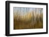 Autumn Forest Dream-Bill Sherrell-Framed Photographic Print