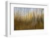 Autumn Forest Dream-Bill Sherrell-Framed Photographic Print