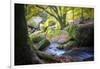 Autumn forest in Brittany-Philippe Manguin-Framed Photographic Print