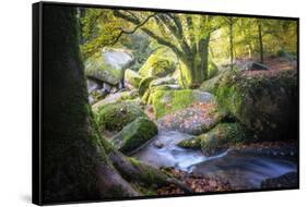Autumn forest in Brittany-Philippe Manguin-Framed Stretched Canvas