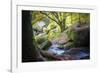 Autumn forest in Brittany-Philippe Manguin-Framed Photographic Print