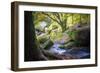 Autumn forest in Brittany-Philippe Manguin-Framed Photographic Print