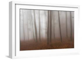 Autumn Forest in Mist-Robert Haasmann-Framed Photographic Print