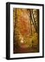 Autumn Forest in the Neckar Valley, Near Villingen-Schwenningen, Baden-Wurttemberg, Germany, Europe-Jochen Schlenker-Framed Photographic Print