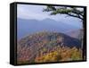 Autumn Forest Landscape Near Loft Mountain, Shenandoah National Park, Virginia, USA-James Green-Framed Stretched Canvas