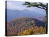 Autumn Forest Landscape Near Loft Mountain, Shenandoah National Park, Virginia, USA-James Green-Stretched Canvas