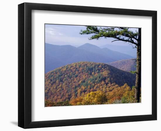 Autumn Forest Landscape Near Loft Mountain, Shenandoah National Park, Virginia, USA-James Green-Framed Photographic Print