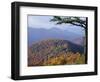 Autumn Forest Landscape Near Loft Mountain, Shenandoah National Park, Virginia, USA-James Green-Framed Photographic Print