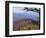 Autumn Forest Landscape Near Loft Mountain, Shenandoah National Park, Virginia, USA-James Green-Framed Photographic Print