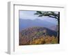 Autumn Forest Landscape Near Loft Mountain, Shenandoah National Park, Virginia, USA-James Green-Framed Photographic Print