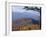 Autumn Forest Landscape Near Loft Mountain, Shenandoah National Park, Virginia, USA-James Green-Framed Photographic Print