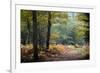 Autumn Forest Leaves-Philippe Manguin-Framed Photographic Print