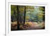 Autumn Forest Leaves-Philippe Manguin-Framed Photographic Print