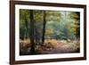 Autumn Forest Leaves-Philippe Manguin-Framed Photographic Print