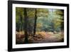 Autumn Forest Leaves-Philippe Manguin-Framed Photographic Print