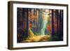 Autumn Forest Nature. Vivid Morning in Colorful Forest with Sun Rays through Branches of Trees. Sce-Dzmitrock-Framed Photographic Print