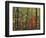 Autumn forest near Peaks of Otter, Blue Ridge Parkway, Appalachian Mountains, Virginia, USA-Charles Gurche-Framed Photographic Print