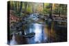 Autumn Forest on the Wild River La Hoegne, Near the Moor High Fens, Hautes Fagnes, Autumn, Ardennes-P. Kaczynski-Stretched Canvas