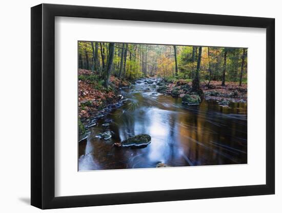 Autumn Forest on the Wild River La Hoegne, Near the Moor High Fens, Hautes Fagnes, Autumn, Ardennes-P. Kaczynski-Framed Photographic Print