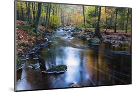 Autumn Forest on the Wild River La Hoegne, Near the Moor High Fens, Hautes Fagnes, Autumn, Ardennes-P. Kaczynski-Mounted Photographic Print