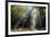 Autumn forest path, Surrey, England, United Kingdom, Europe-Charles Bowman-Framed Photographic Print