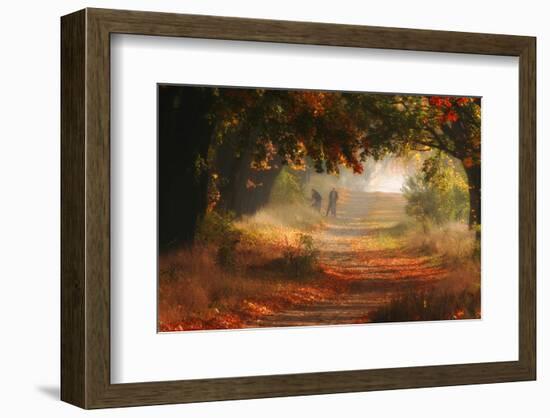 Autumn Forest Path-null-Framed Art Print