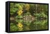 Autumn Forest Reflections Lake Side-Anthony Paladino-Framed Stretched Canvas