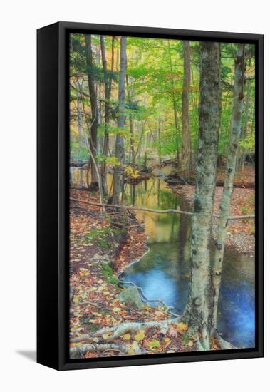 Autumn Forest Stream, Acadia National Park-Vincent James-Framed Stretched Canvas