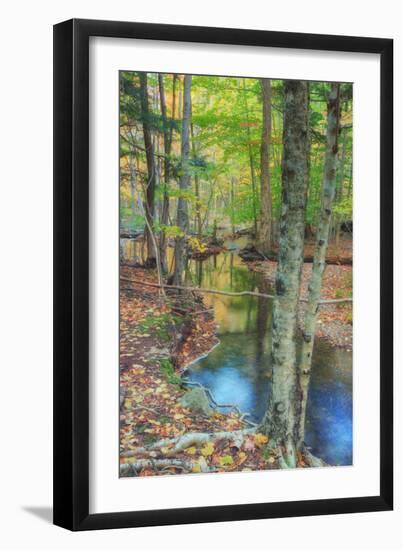 Autumn Forest Stream, Acadia National Park-Vincent James-Framed Photographic Print